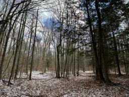 Erin Marsh Rd Lot 1 1