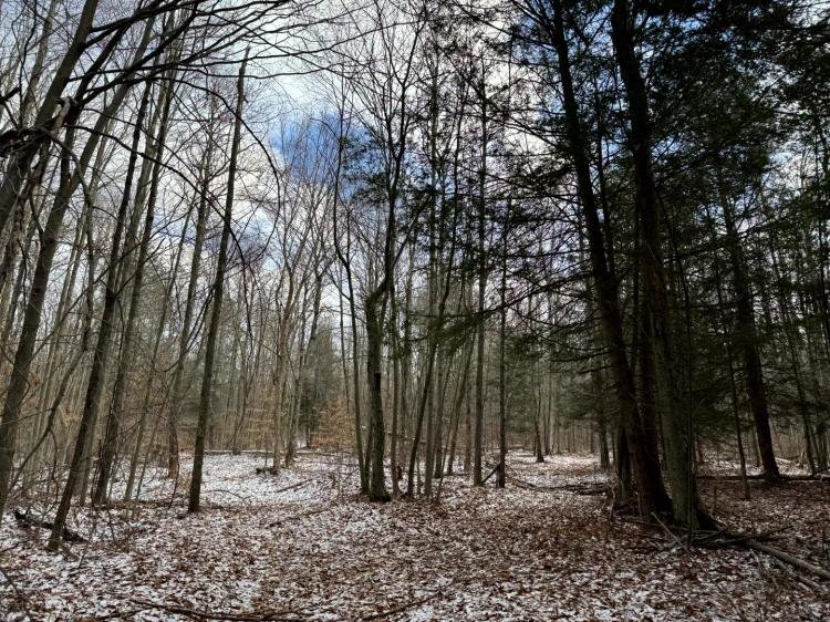 Chemung County Hunting Property