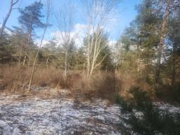 Erin Marsh Rd Lot 1 3