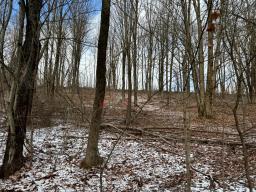 Erin Marsh Rd Lot 1 5