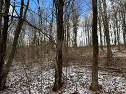 Erin Marsh Rd Lot 1 6