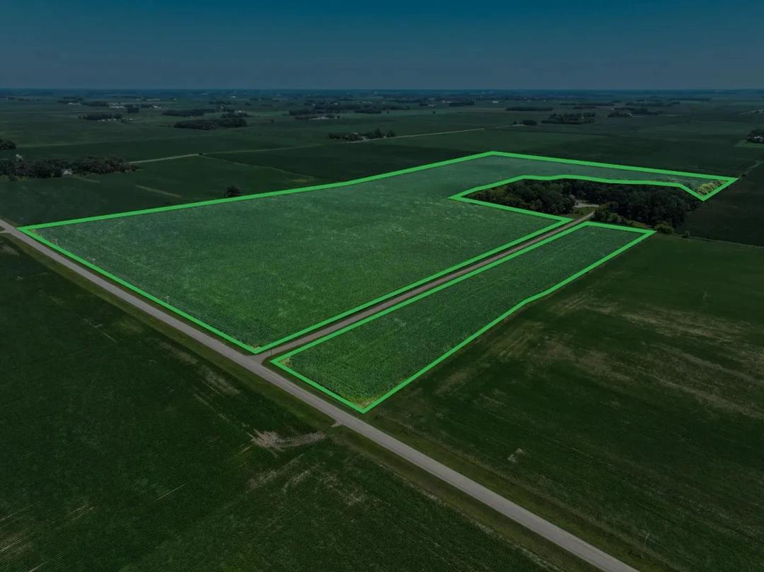 73.05± Acre Farm Sale Freeborn County