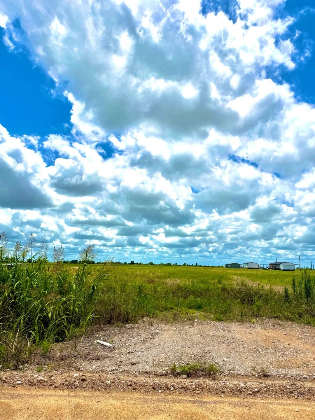 11 acres cleared & private - Colorado County