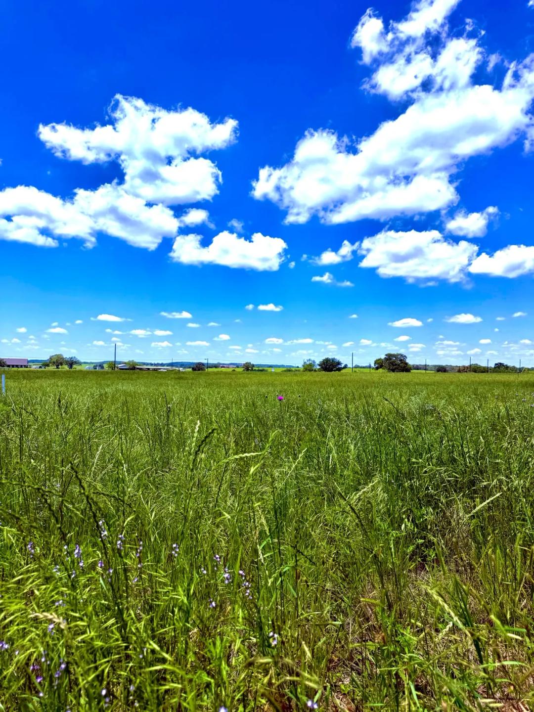 2.5 acres Off HWY 304 in Rosanky