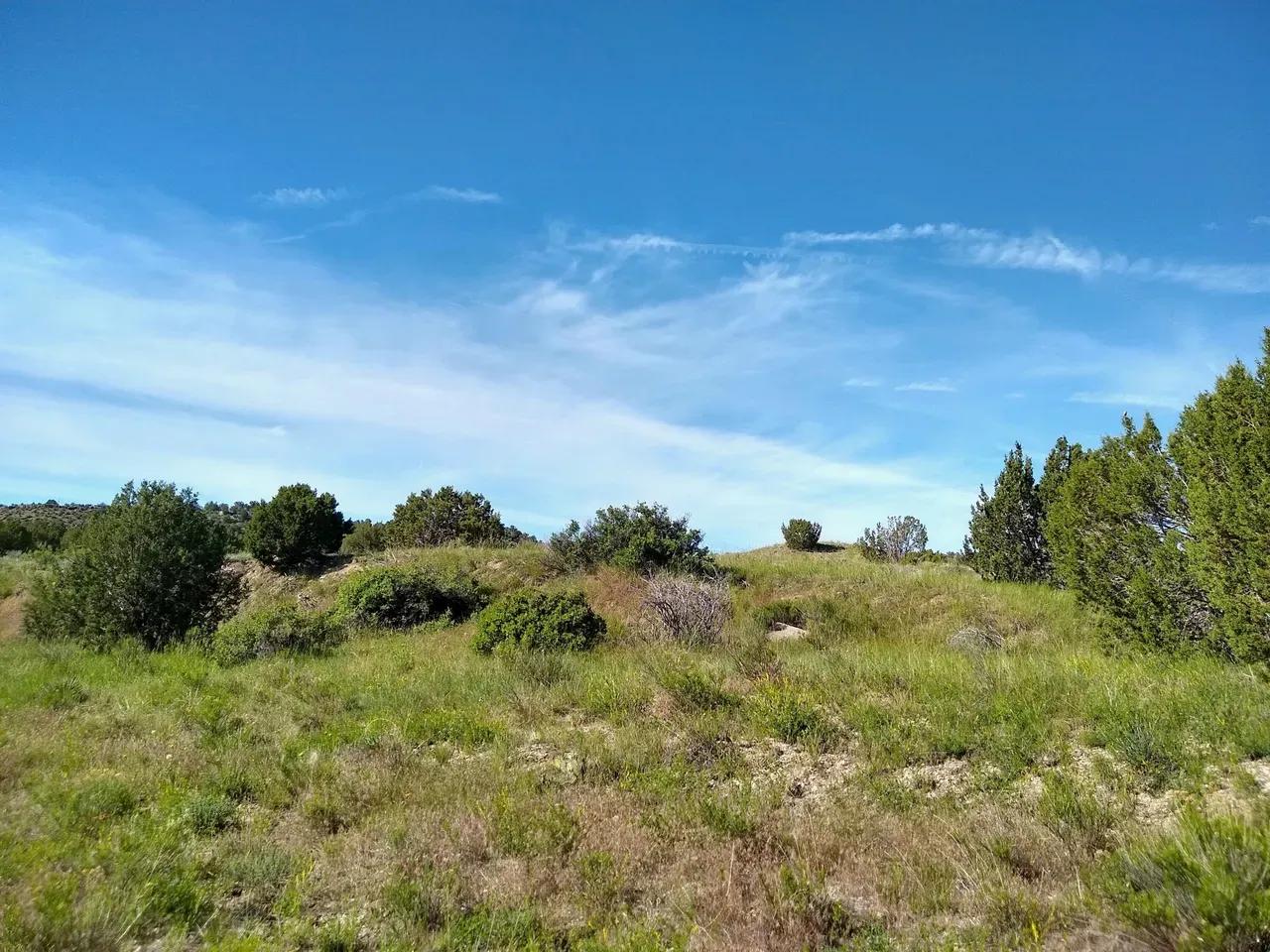 25367371-13