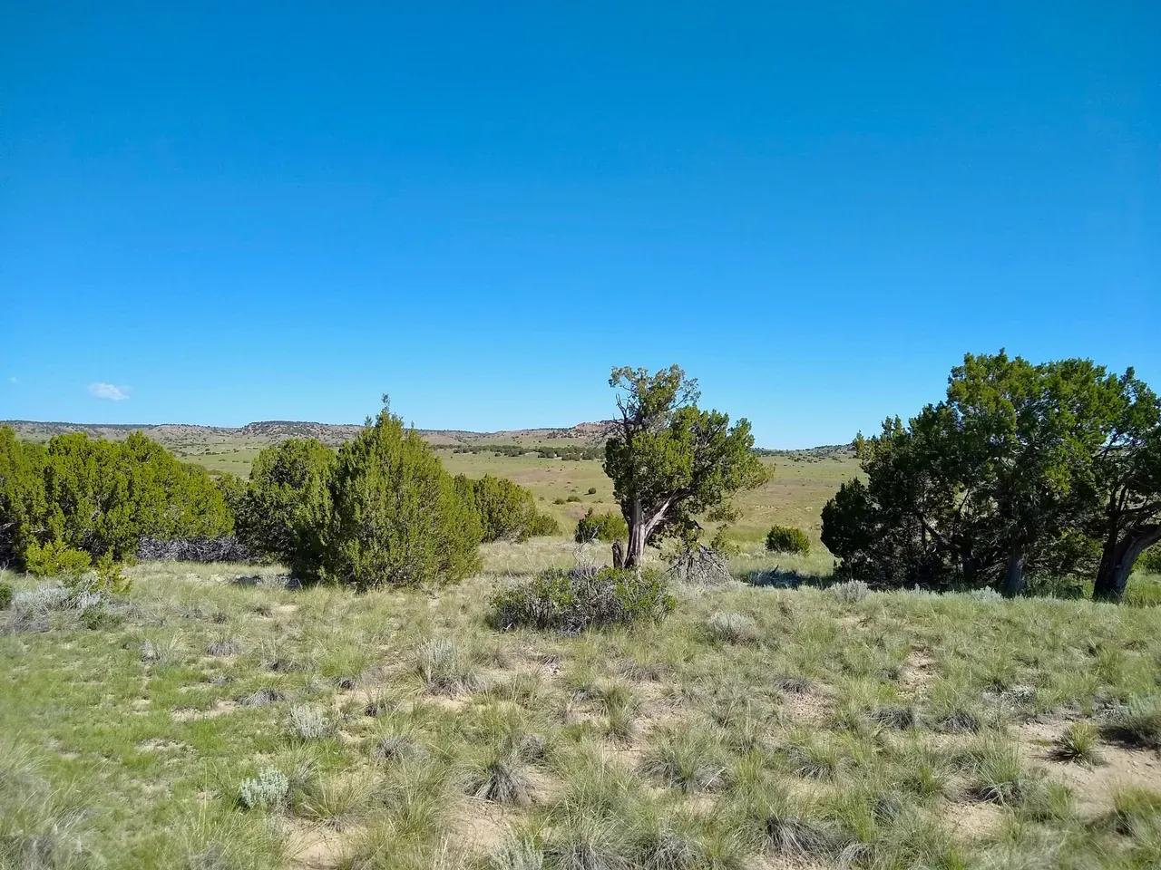 25367371-24