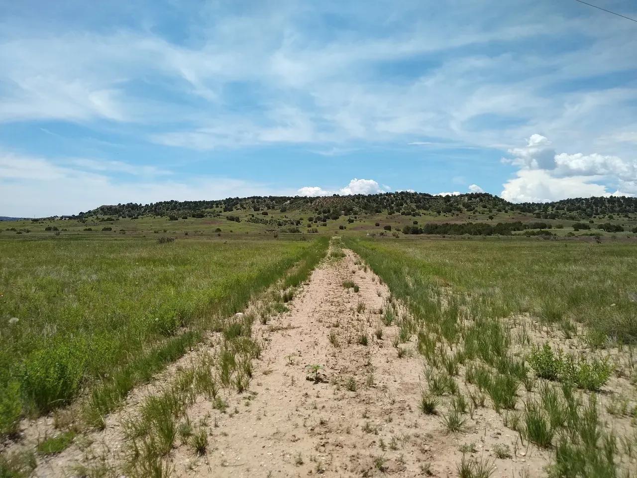 25367371-49