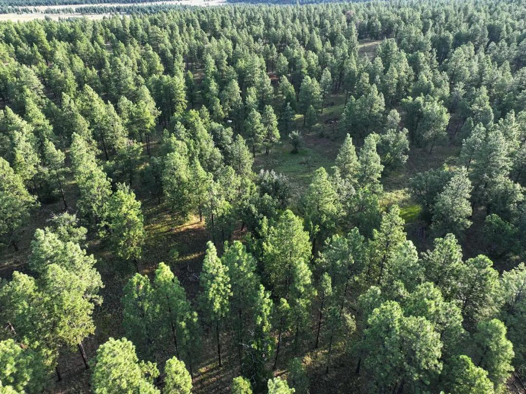 Elk Ridge Estates- Lot 21 