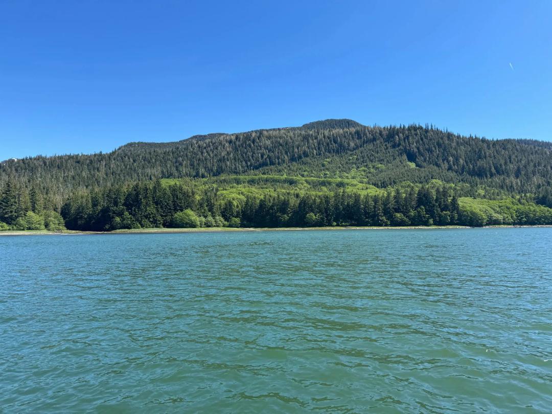 Wrangell Narrows Ocean Front