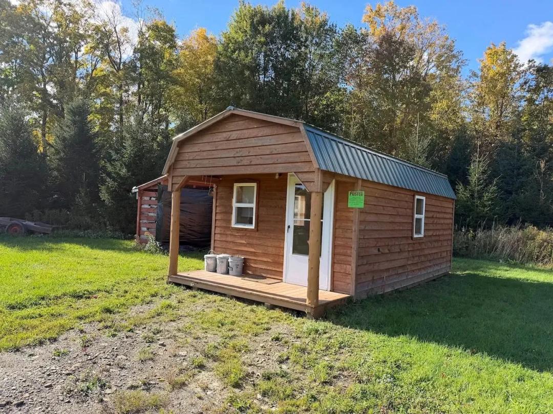 22 acres Cabin with Open Field and Woods in Perrysburg NY Hooker Hill Rd