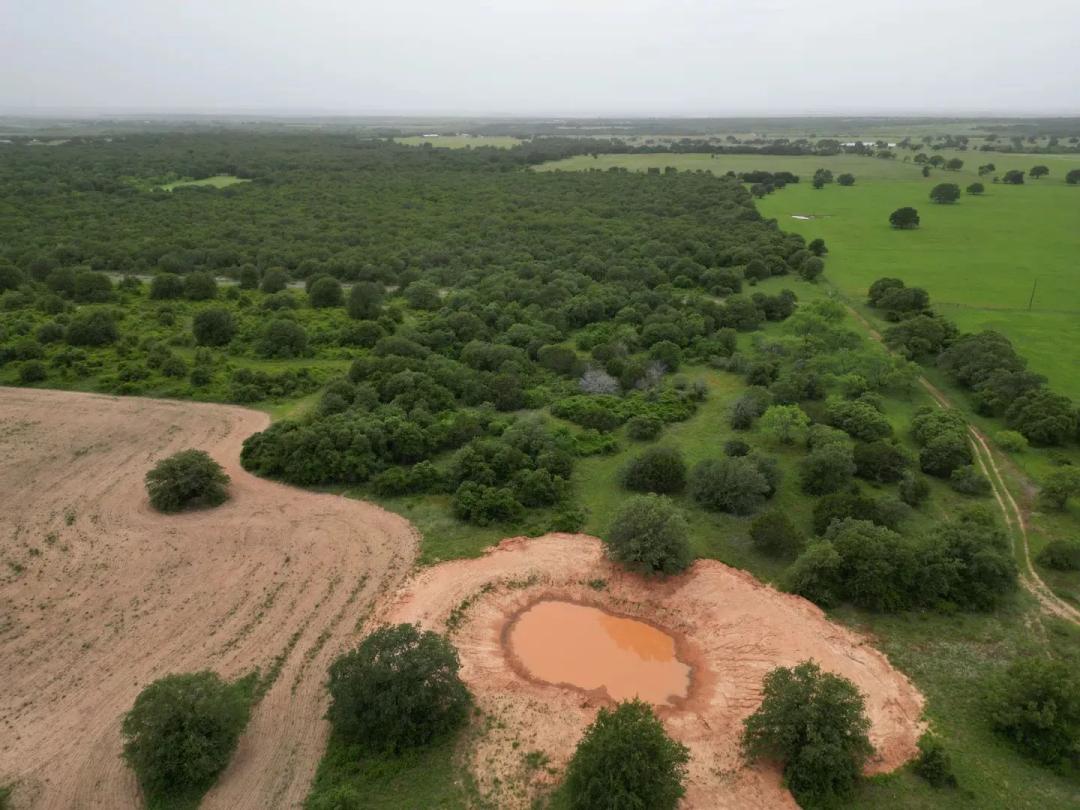 New Listing!!!41.721 Ac, Callahan County