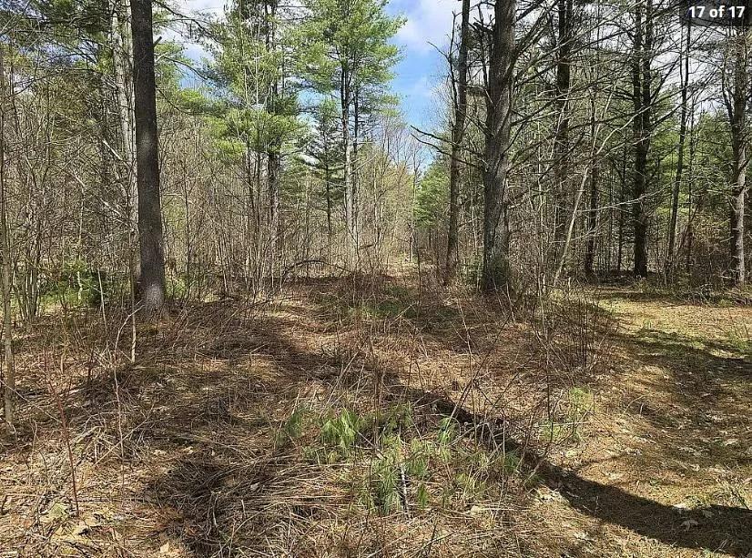 27.90 Acres at 13612 Lewisburg Road