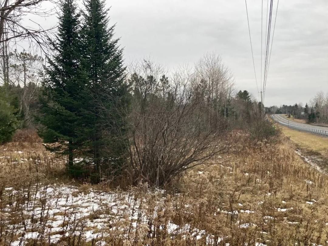139 Acres of Adirondack Park Wilderness with Fox Brook!