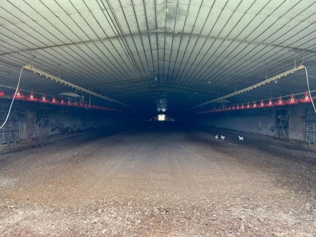 2546592-16