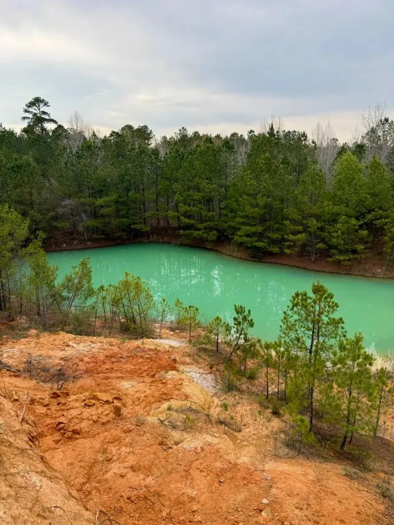 42.5 Acres in Kemper County, MS 