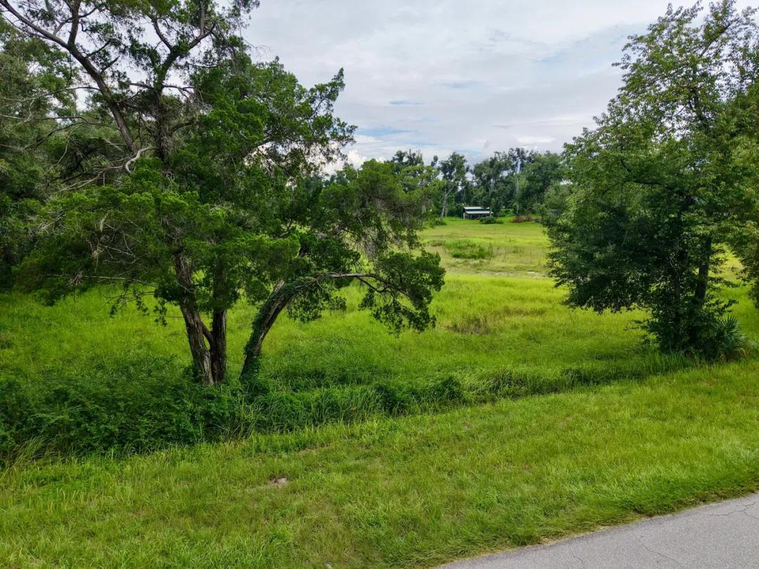 5.8 Acres Near Mayo with Well, Shed & RV Pole Barn