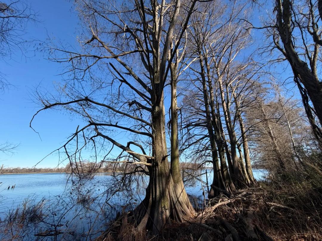 1.04 Acres at 8163 Horseshoe Cir