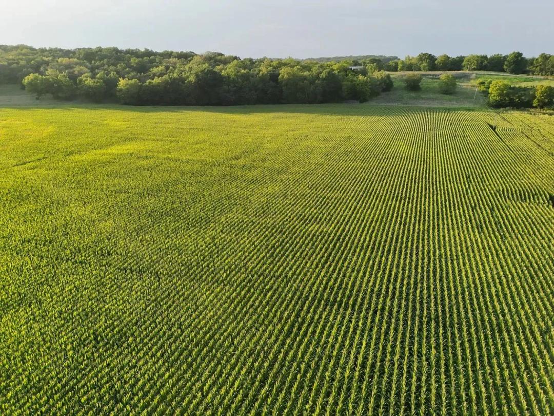 Productive 30.08-Acre Farm & Recreation Tract - Northern Lincoln County