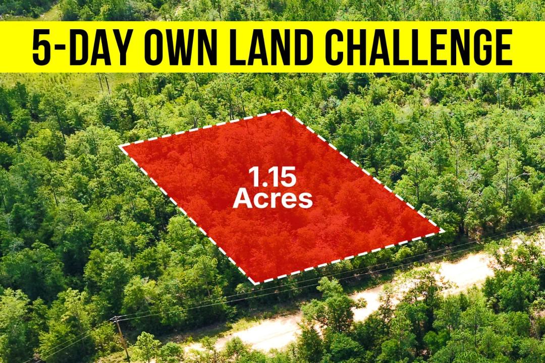 Own a 1.15-Acre No HOA, Acreage Lot in FL - Owner Financing