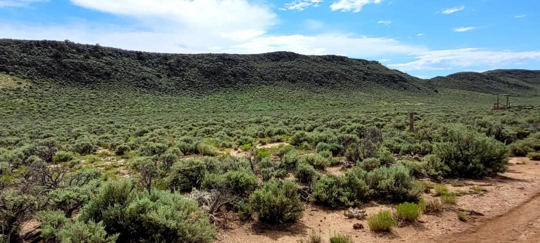 5 acres in the San Luis Valley. Mobiles and Modulars allowed!