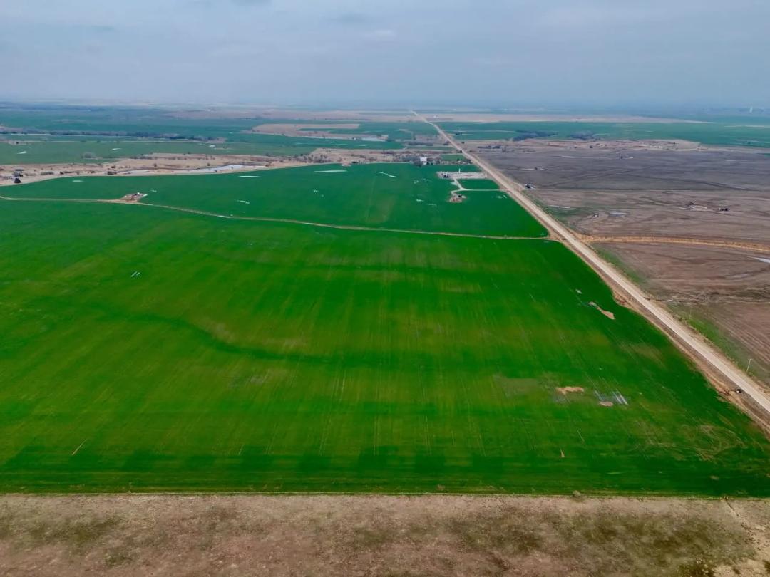Barber County 211.5± Acres – Nearly 100% Tillable | Class I Pond Creek Soils | Gerlane Rd