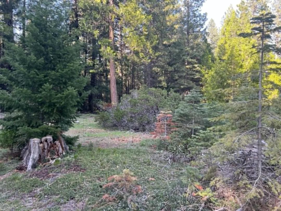 12.60 Acres at 0000 CA-44