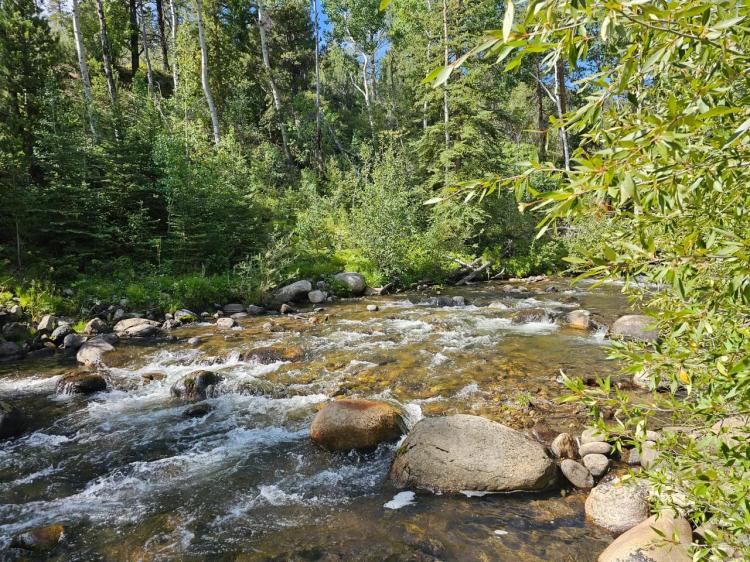 Salida Colorado Riverfront Lot 19039 Monarch River Dr