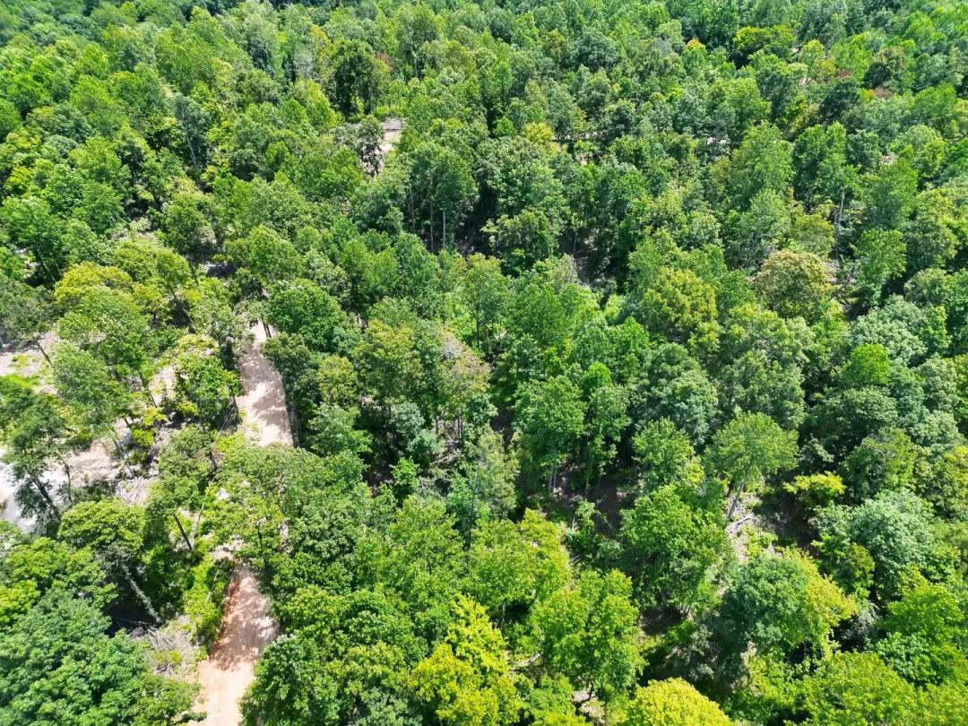 15.938 Acres [Lot 8] in Hart County, KY