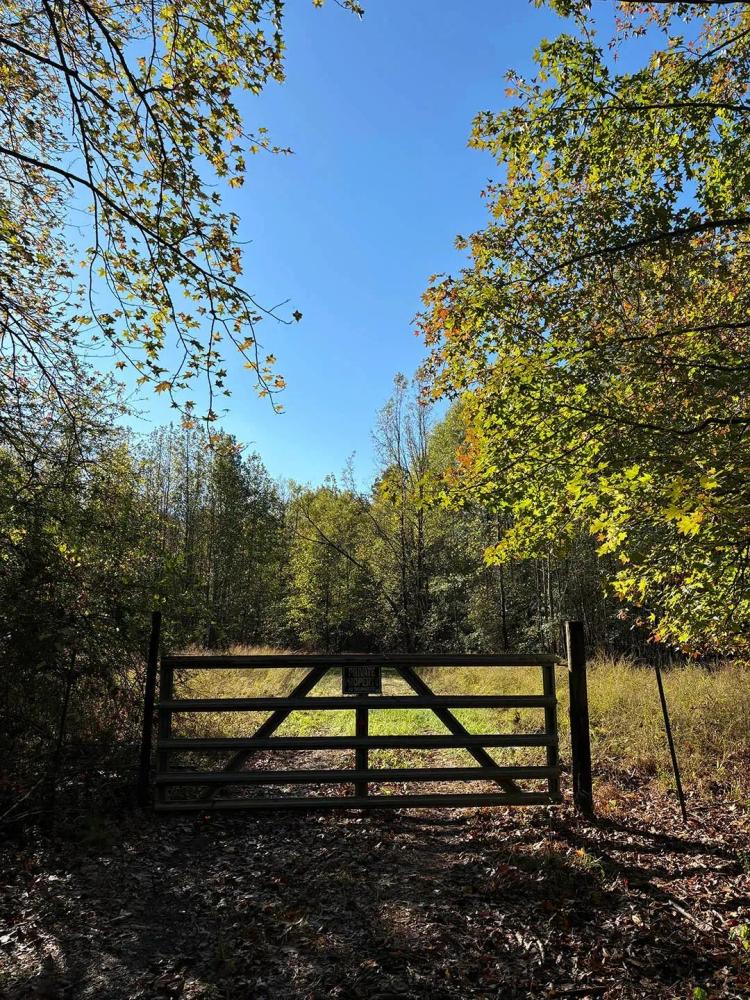 261.5 Acres in Lafayette County, MS