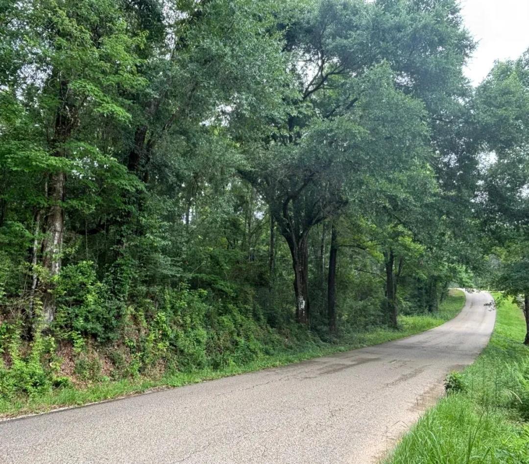 5 Acre Residential Lot in Washington Parish in Bogalusa, LA
