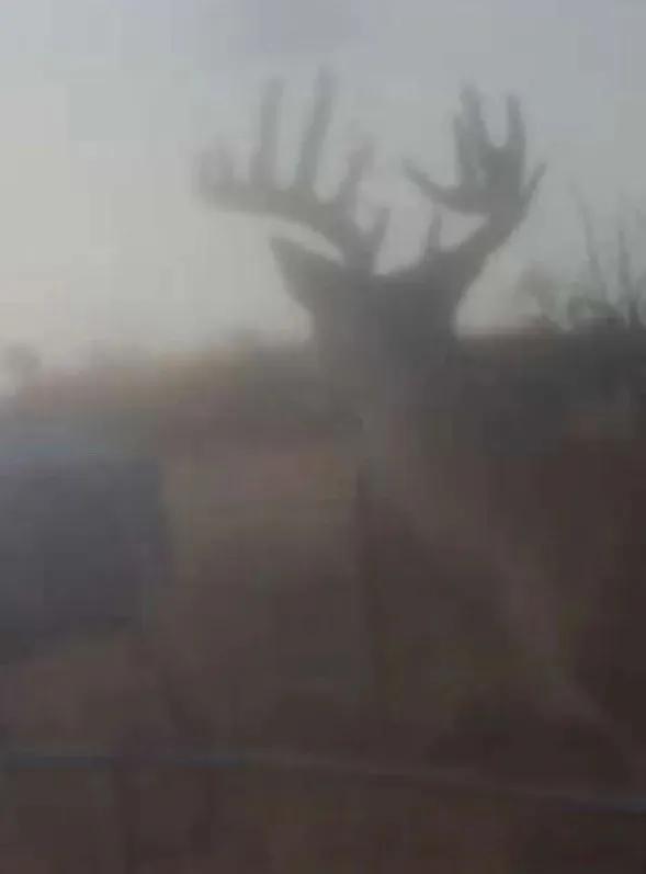 25722367-30