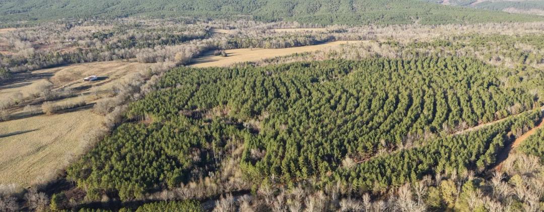 60 Acres in Leflore County, OK