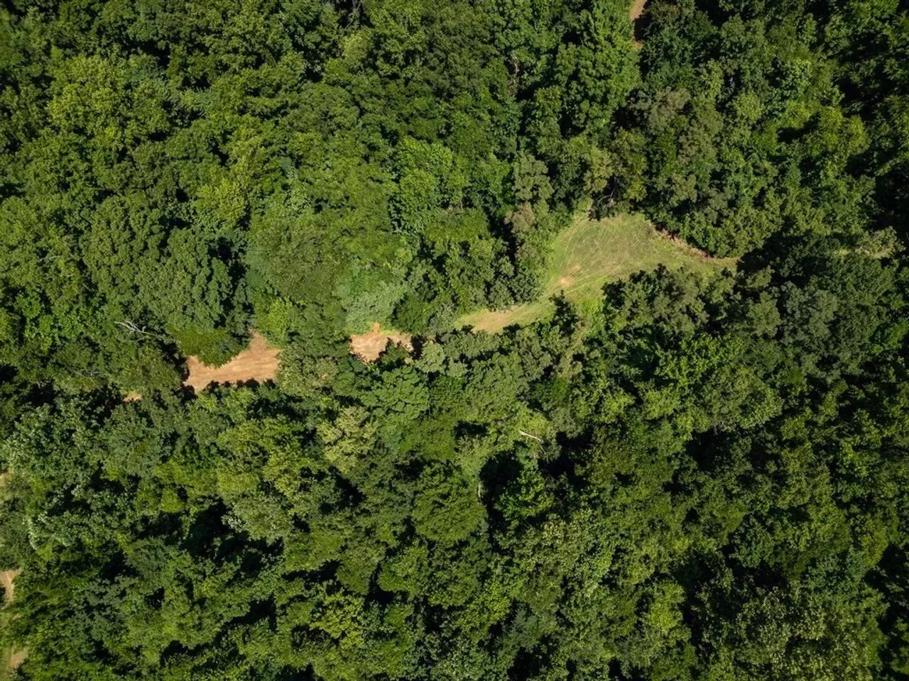 25779674-14
