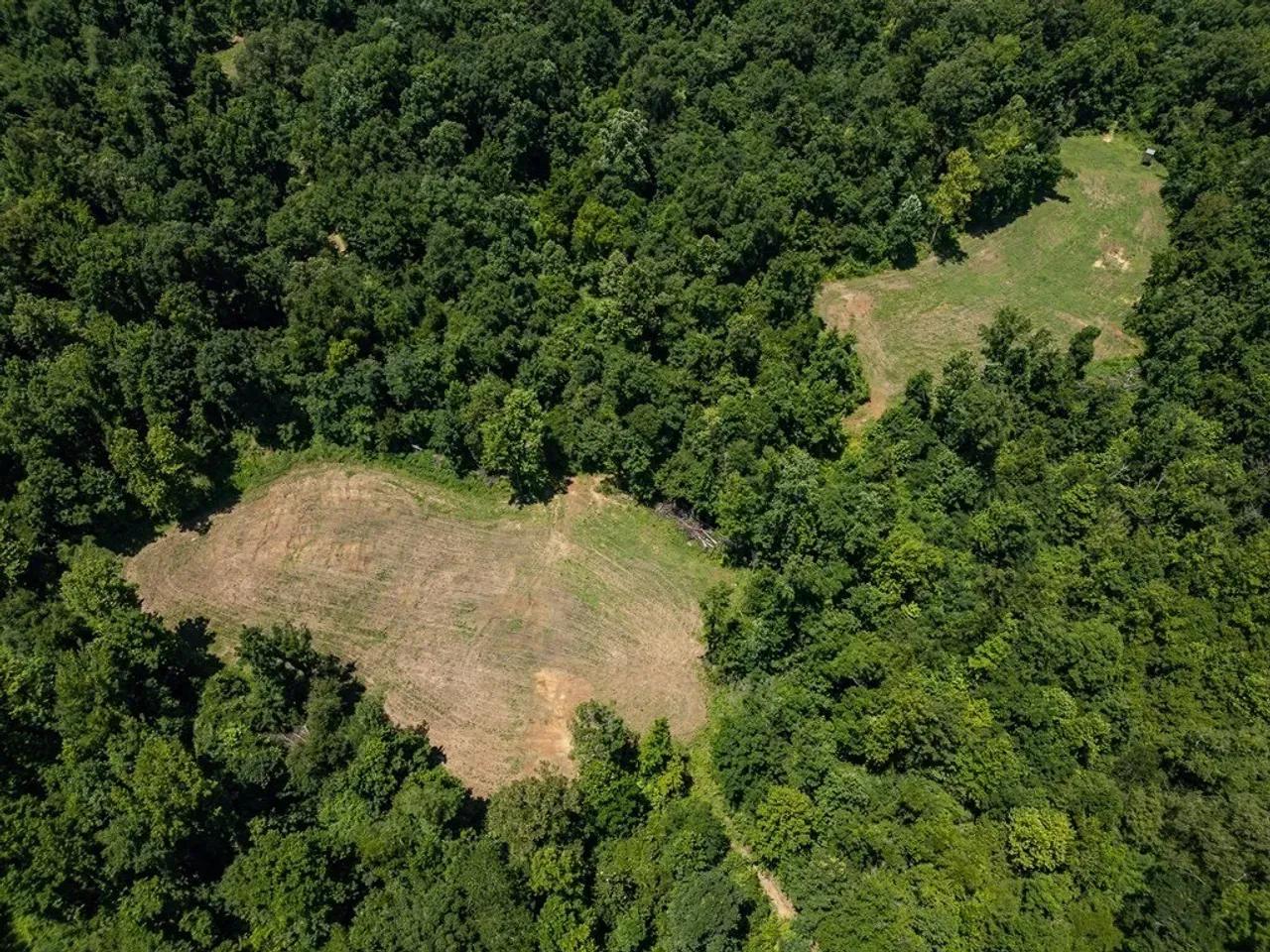 25779674-18