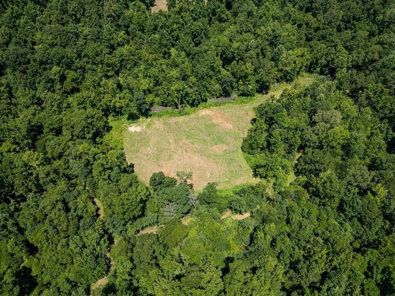 25779674-2