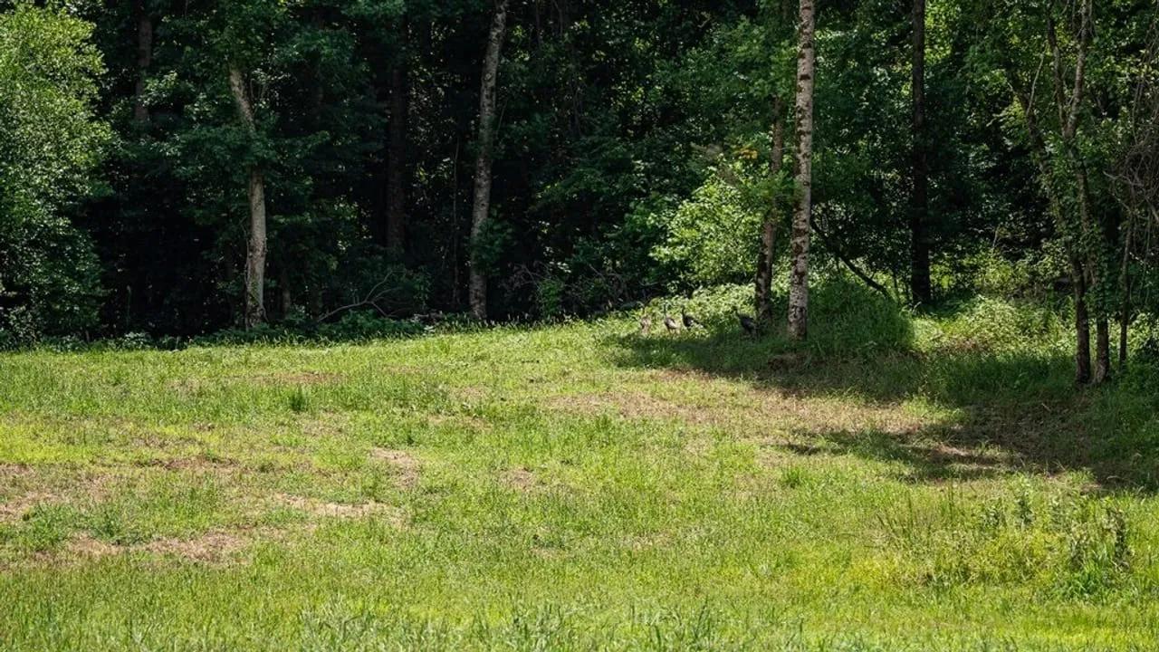 25779674-46