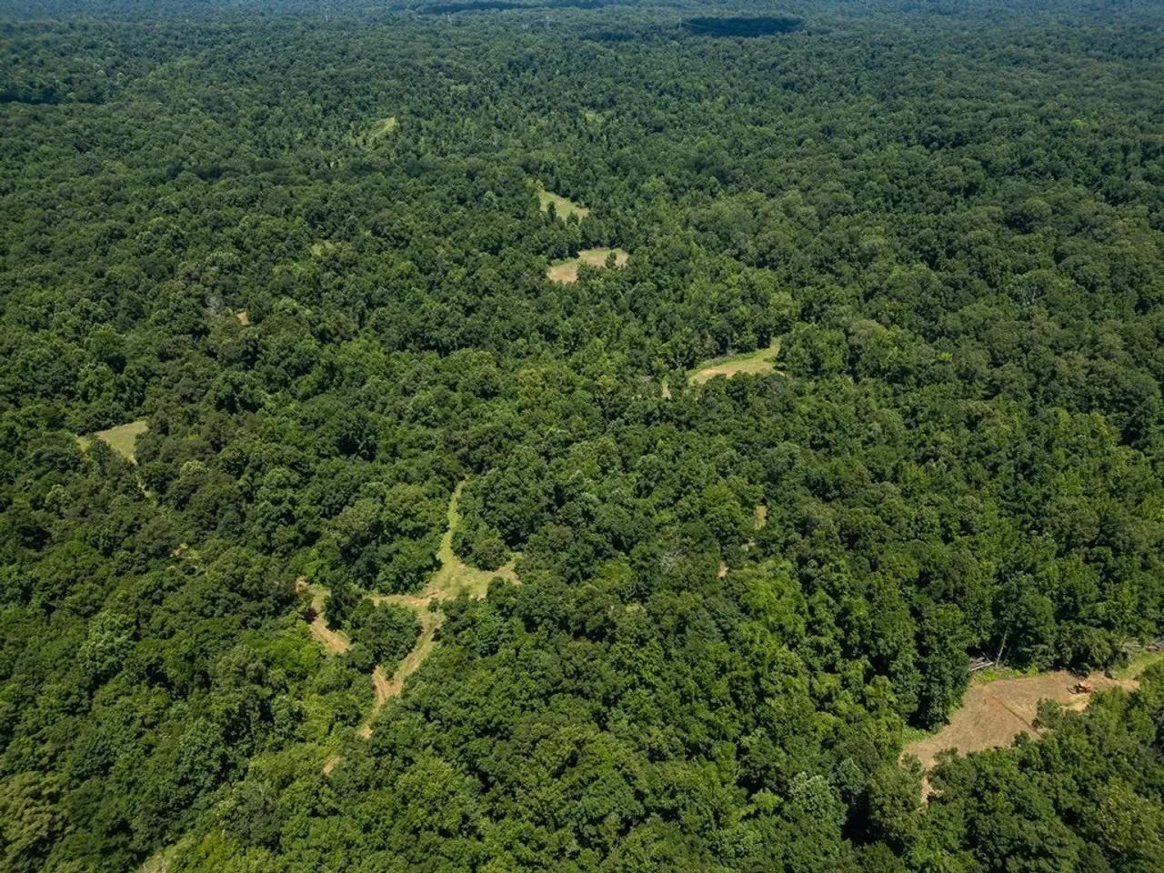 25779674-9
