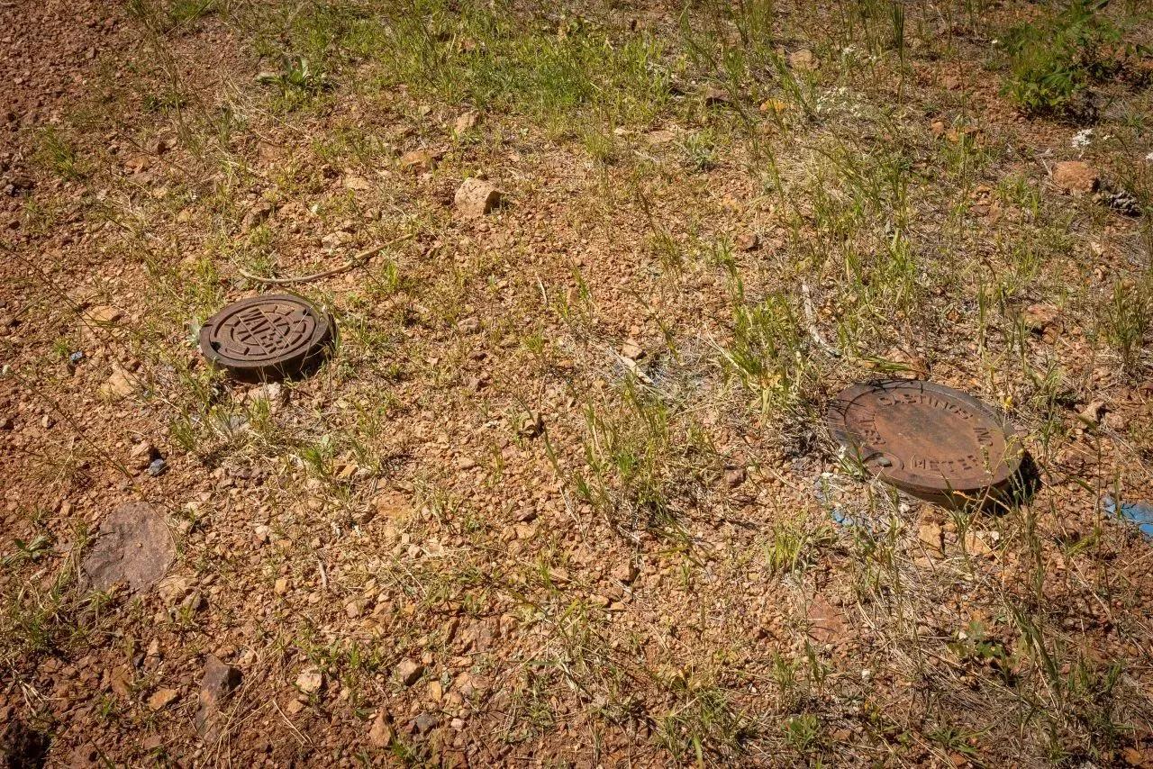 25784391-8