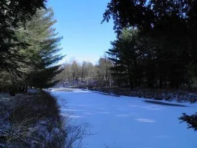 Oswegatchie River Jewel