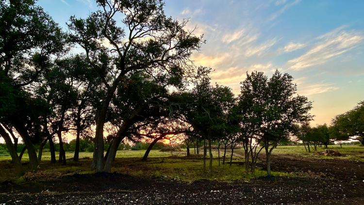 Sunrise Ridge Estates - Lot 9 Phase 1- Lampasas, TX