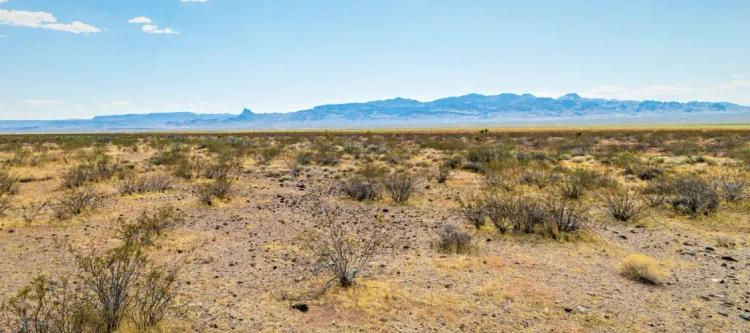 Kick Off Your Boots and Stay Awhile! Make This 2.51 Acre Property Home