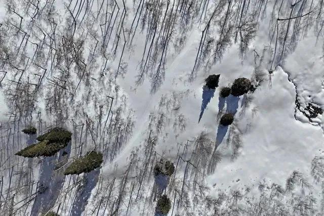 25867389-4