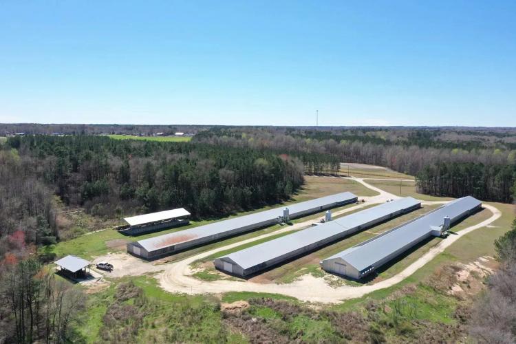 Shearin Egg Farm – Nash County, NC