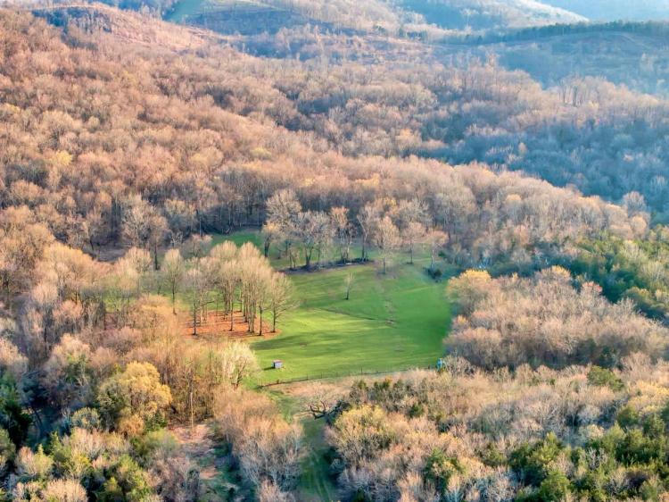 550.59 acres of High Fenced Phenomenal Hunting and Recreational Paradise in Marshall County, Tennessee