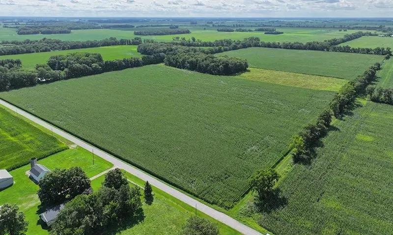 McDaniel Farm