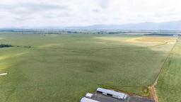 25941831-1