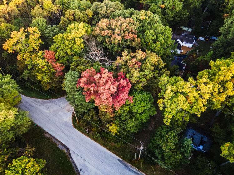0.08 Acres at 54000 Block of Whitesell Road