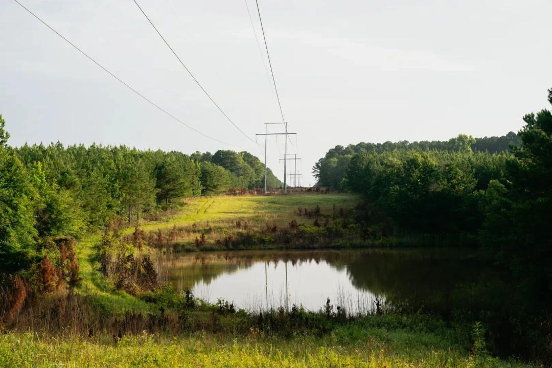 77 Acres in Neshoba County, MS 
