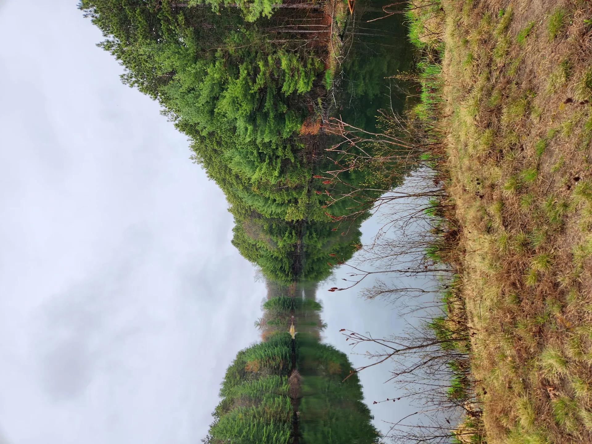 2601527-2
