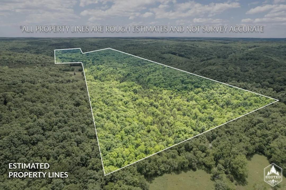 23201 Private Drive 6474, Duke, MO-Phelps Co. 148+/- Acres